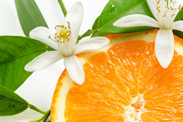Close up of  fresh orange fruit with leaves and blossom