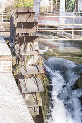 Water mills wheel