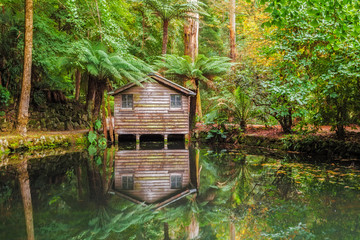 Alfred Nicholas memorial gardens - beautiful lake amongst trees with old boat shed. Autumn scene.