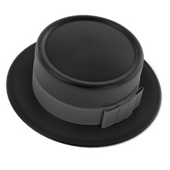 3d renderings of porkpie hat