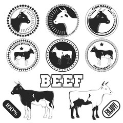 Set of premium beef labels, badges and design elements. Vector
