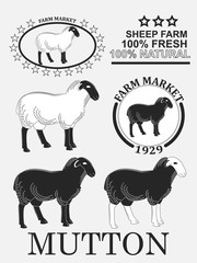 Set of premium lamb labels, mutton, badges and design elements. Vector