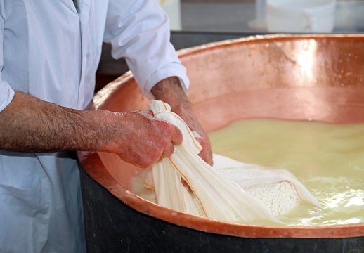 Senior cheesemaker collects the cheese with the tarp from the co