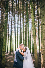 The couple in the woods. Bride and groom walking on edge of a pine forest on the wedding day.