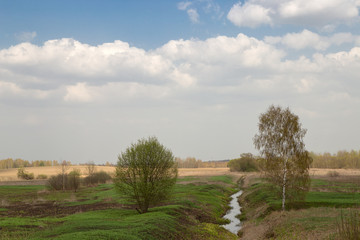 Green Grass Field Landscape with fantastic clouds