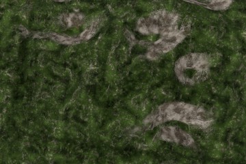 Landscape Mountain in Motion. Nice 3D Rendering
