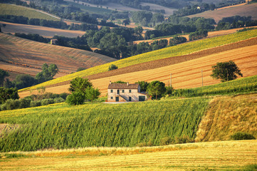 Country landscape in Marches (Italy)