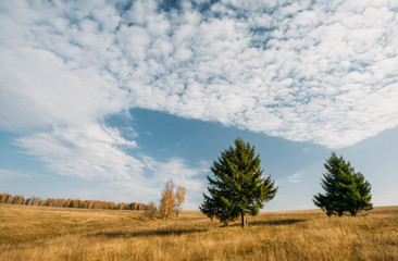 Autumn landscape