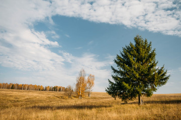 Fototapeta premium Autumn landscape