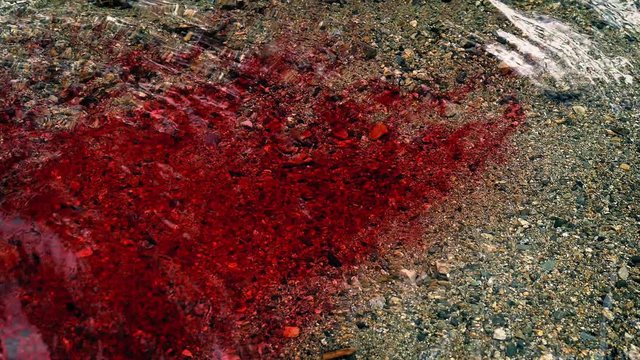 Lots Of Blood Flowing In The River