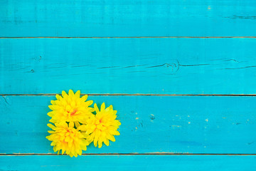 Blank blue sign the yellow flower border