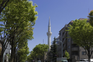 東京都市風景　渋谷区　上原　井の頭通り　街並　青空　緑　高級住宅街　東京ジャーミイ