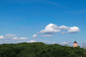 Landscape with trees, blue sky, clouds and a small bell tower