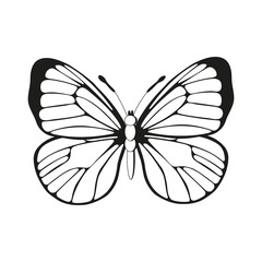 silhouette butterfly black and white butterfly pattern vector, butterfly wings,