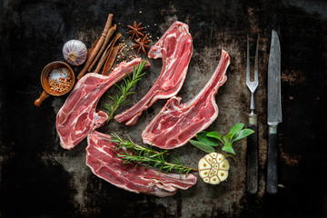 Raw fresh lamb meat on dark background © Alexander Raths