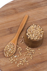 Wooden spoon with a bowl of wheat grains