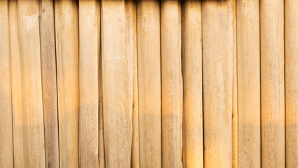 Bamboo background