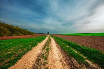 plowed field and cloudy sky in sunset