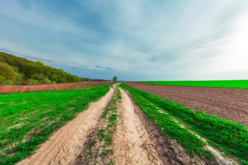 plowed field and cloudy sky in sunset