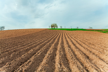 plowed field and cloudy sky in sunset