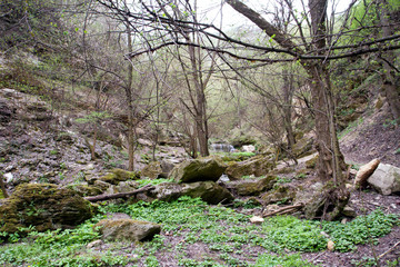 Beautiful and rich nature of the Republic of Moldova