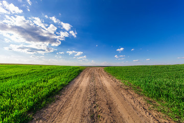 Green Field and Beautiful Sunset