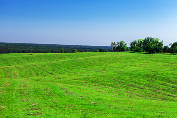 Green Field and Beautiful Sunset