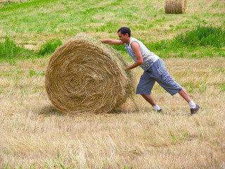 Naklejka na ściany i meble Preparation of hay.
