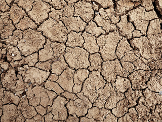 soil crack texture