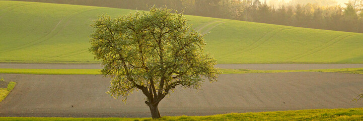 Frühling