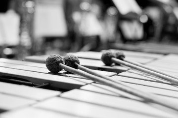 Drumsticks lying on the vibraphone in black and white