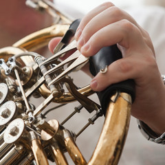 Fototapeta premium The fingers of the musician playing the French horn closeup