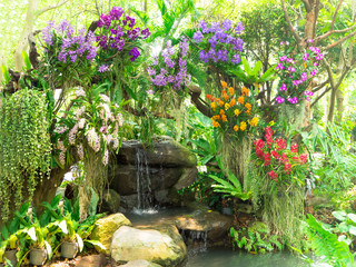 A little water fall in garden decorating with colorful orchids