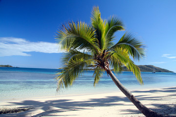 fiji island beaches