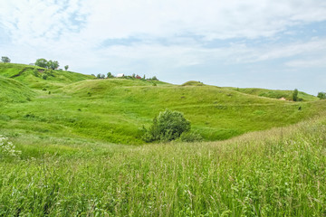 Picturesque green hills on a windy summer day