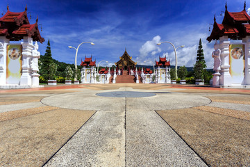 Royal Flora Ratchaphruek, shot with polarizing filter