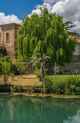 Fototapeta na wymiar Willow on the river Clitunno in Umbria, Italy.
