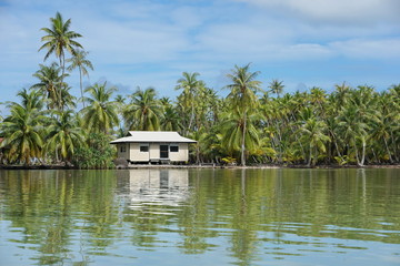Coastal landscape with coconut trees and a typical home of French polynesia on the shore of an islet, Huahine island, Pacific