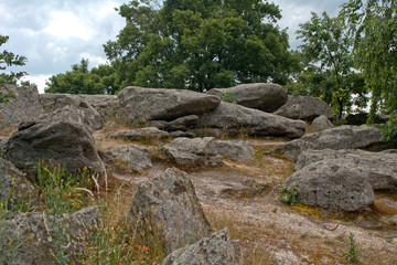 Fototapeta na wymiar Sea of stones, Kali Basin, Hungary