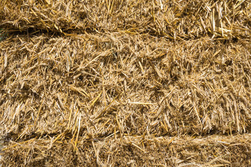 Pressed rye straw