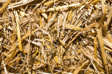 Pressed rye straw