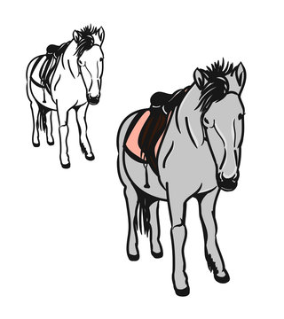 Pony with saddle 1