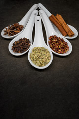 Five Spice with Fennel Seed Focus