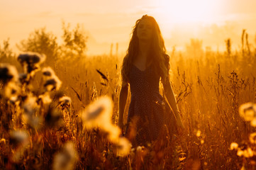 Beautiful girl in fog, field, sun backlight, sunrise, orange colors