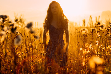 Beautiful girl in fog, field, sun backlight, sunrise, orange colors