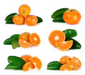 Oranges fruit isolated on a white background