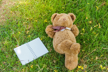 a cute teddy bear lying on grass  and notebook to fill.