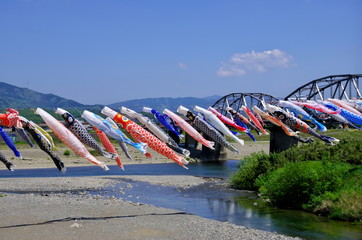 鯉のぼりの丹生川渡し