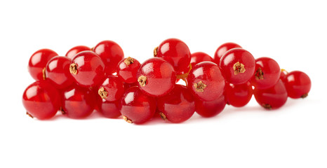 Red Currant isolated over white background