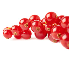 Red Currant isolated over white background
